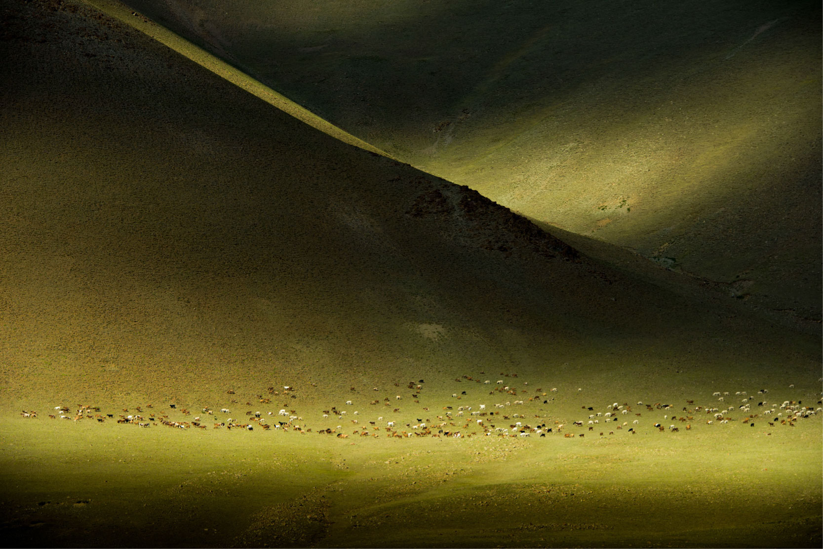 写真4_光と影のコントラストが美しいモンゴルの大地