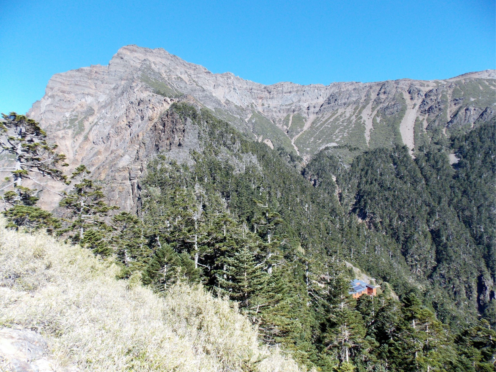 写真5 台湾最高峰の玉山（3,952m）登頂を目指す