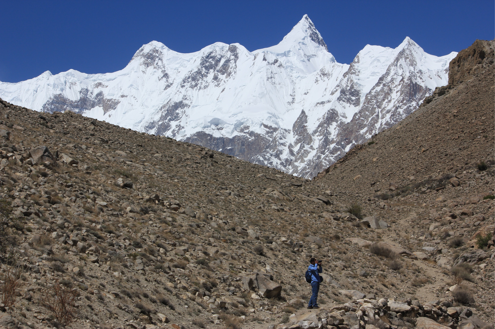 写真1_グルキンからのシスパーレ（7,611m）峰