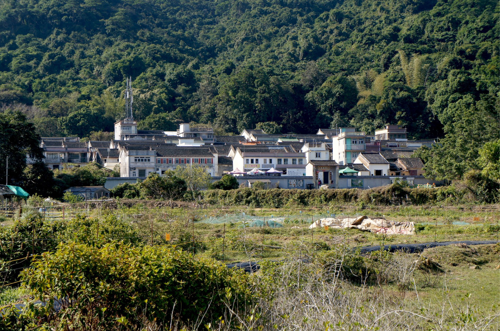 写真5_山間に佇む隠れ里・荔枝窩(ライチッウー）