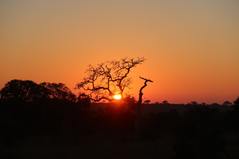 写真11_アフリカの大地で迎える日の出