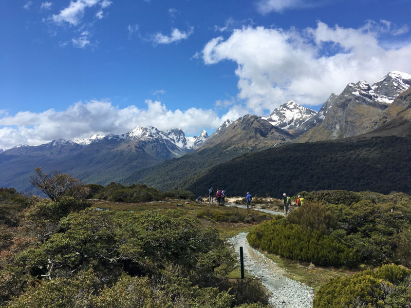 写真15_ルートバーン・トラックの山々を望みながらキーサミットへのハイキング