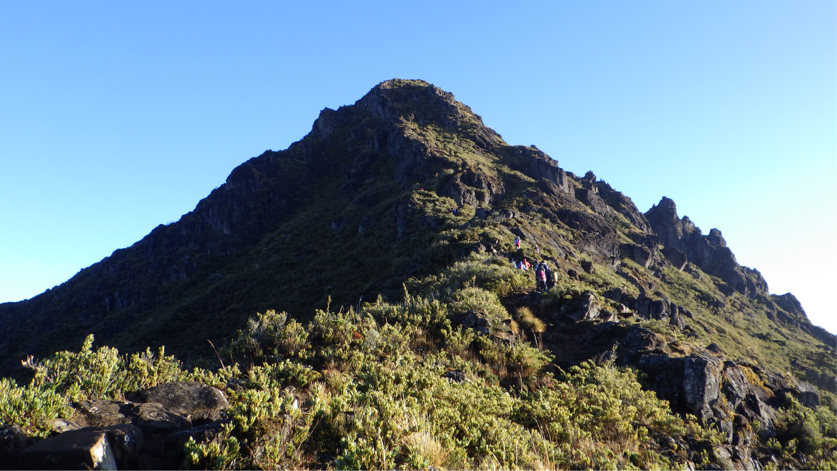 コスタリカ最高峰チリポ山（3,819m）