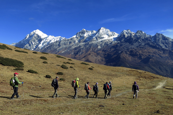 alpine tour service